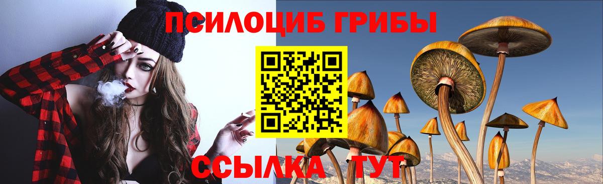 Псилоцибиновые грибы прущие грибы Кашира