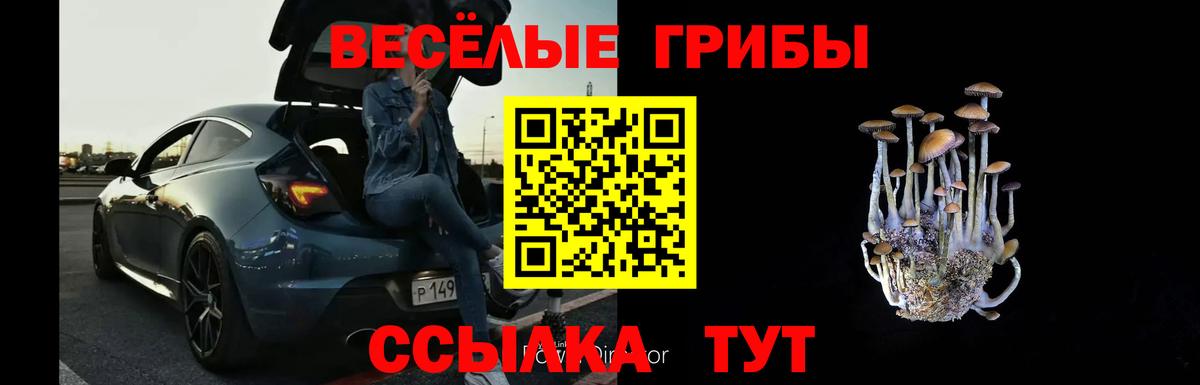 Псилоцибиновые грибы прущие грибы  Галлюциногенные грибы мицелий  Вход с VPN  Кашира 