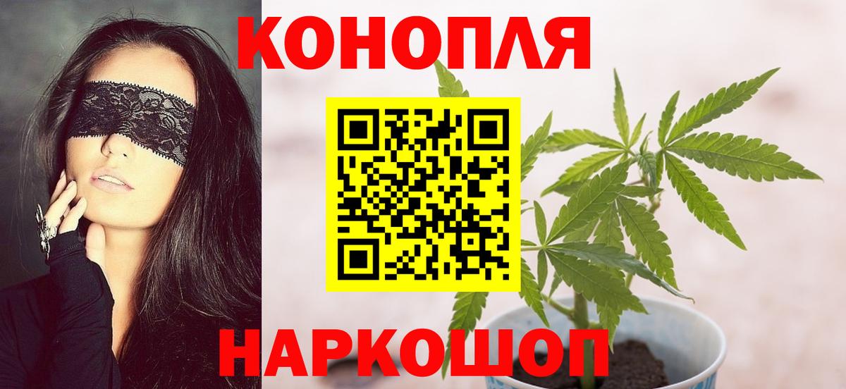 Бошки марихуана LSD WEED  МАРИХУАНА планчик  Канабис сатива  Кашира  Вход с VPN 